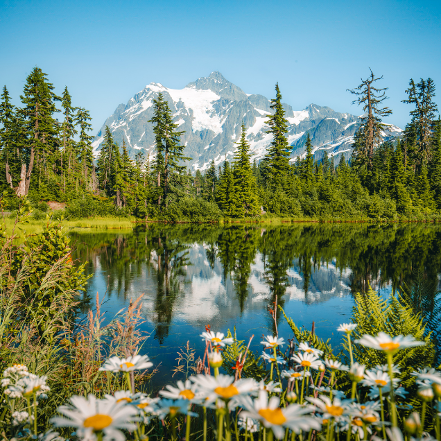 Grow invested in your success